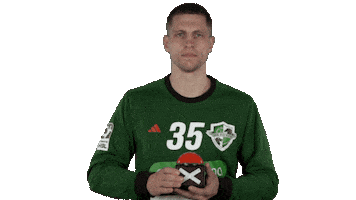 Handball-Bundesliga Handball Sticker by LIQUI MOLY HBL