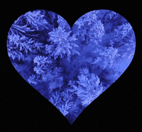 pogumax like winter сердце зима GIF