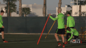 werder werderbremen GIF