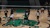 athletics volleyball GIF by GreenWave
