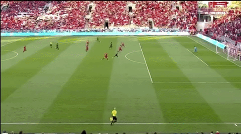 GIF by D.C. United