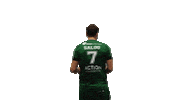 Handball Go Green Sticker by USAM NIMES GARD