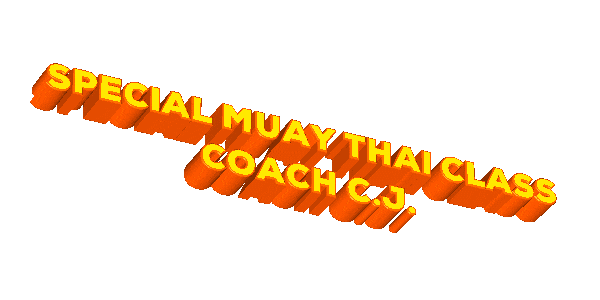 Muay Thai Sticker by Brazilian Top Team