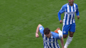 Soccer Futbol GIF by Brighton & Hove Albion Football Club