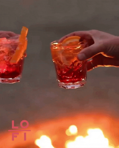 lofiaperitifs giphygifmaker giphyattribution lofi lo-fi GIF