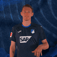 Sport Bundesliga GIF by TSG Hoffenheim