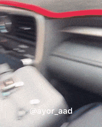 Police Nigeria GIF