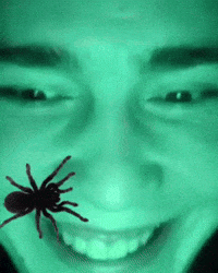 rakokosh jumpscarepetuh GIF