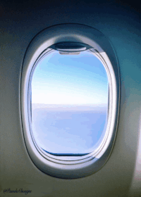 Nicolas Hulot Pamela Chougne GIF