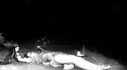 Dubstep Gifs GIF