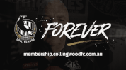 fan afl GIF by CollingwoodFC