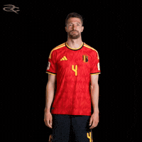 Fifa World Cup Uefa GIF by Respective