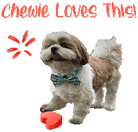 Dog Love Sticker