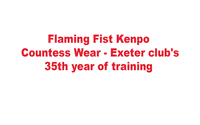 Martial Arts Fight GIF by Flaming Fist Kenpo Germany - empty hands e.V.