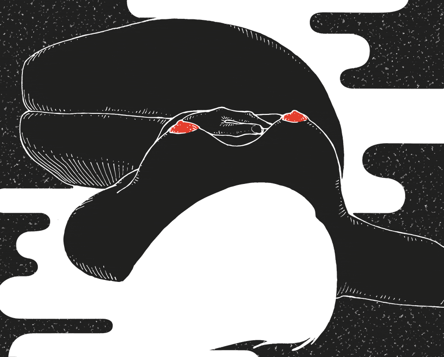 alessmc giphyupload woman stars black and white GIF