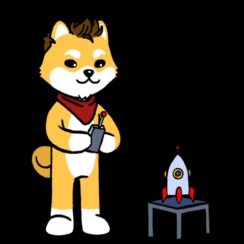 To The Moon Dog GIF by Dogelon Mars