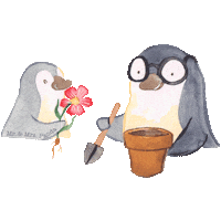 Pandaliebe Pinguin Sticker by Mr. & Mrs. Panda