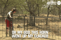 imacelebrityau GIF by I'm A Celebrity... Get Me Out Of Here! Australia
