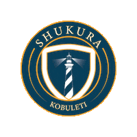 Erovnuli Liga Eliga Sticker by Georgia Gff