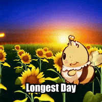 Longest Day Summer GIF by Beelightened