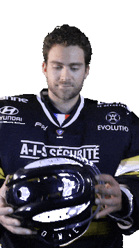CHROANNAIS hockey fox chr roanne Sticker