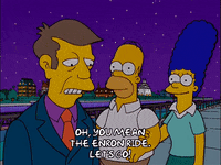 homer simpson GIF
