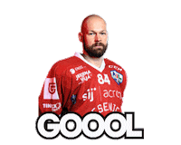 hddjesenice red gol steelers hokej Sticker