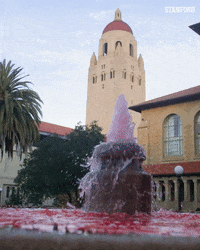 GIF by Stanford Athletics