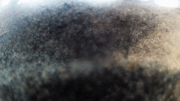 A Sand Portrait (2015)