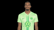 Germany Love GIF by VfL Wolfsburg