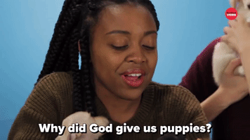 Why Did God Give Us Puppies?