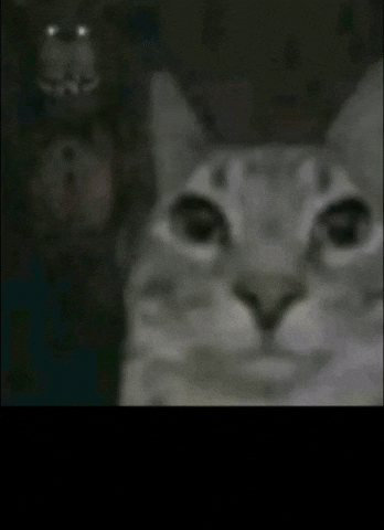 Freddy Behind Me GIF