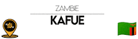 Nn Kafue Sticker by NoirNomads