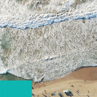 GIF by Alain Afflelou