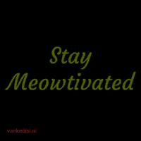 Cat Stay Motivated GIF by vankedisi