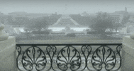 paul ryan news GIF