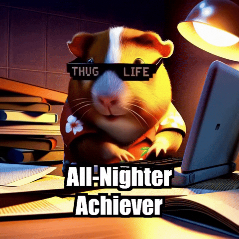 College Deadline GIF by Guinea Gambino