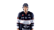 Saint Nicholas Flower Sticker by Les Ducs d'Angers