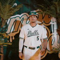 South Florida Baseball GIF by USF Athletics