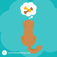 Happy Animation GIF by Summit Marketing