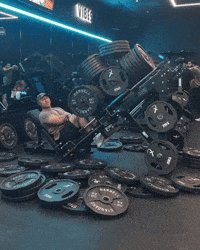 New Zealand Nz GIF