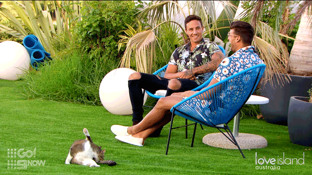 love island lol GIF by Love Island Australia