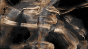 zayn malik GIF by ZAYN