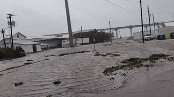 Flooding Seen in Apalachicola, Florida, Amid Tropical Storm Fred