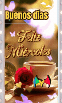 Lo Mejor Rosa GIF by Murcianys LLC