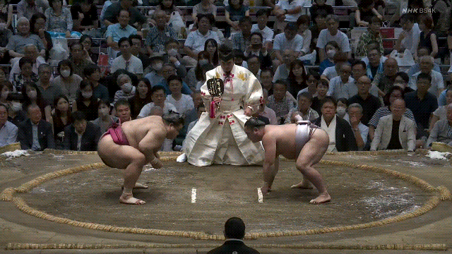 TZ85 giphyupload sumo 2023 aki basho takayasu GIF