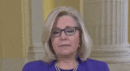 January 6 Insurrection GIF by GIPHY News