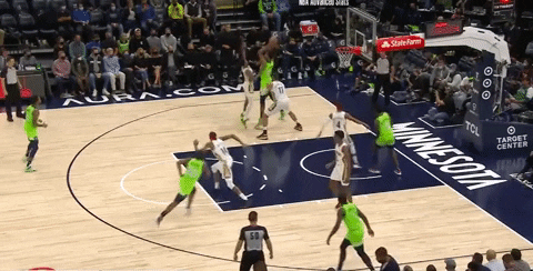 seehafer giphygifmaker minnesota timberwolves GIF