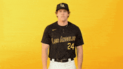Cal State La Sport GIF by Cal State LA Golden Eagles