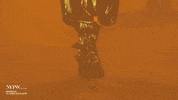 New York Fashion Week GIF by NYFW: The Shows